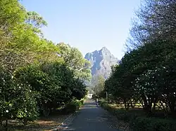 The Japonica Walk, looking towards the Summer House Pavilion