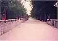 The Dharavandhoo main road, pictured in the 1990s from near Baa Atoll school