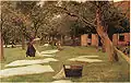 Bleaching on the Lawn, 1892