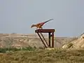 Dinosaur Provincial Park