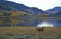 Fish Lake