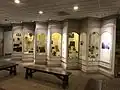Displays at the medical museum