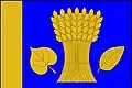 Flag of Dolany