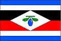 Flag of Dolní Lhota