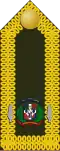Lieutenant Colonel