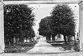 Old picture of the square