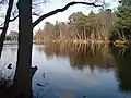 Buchan Hill Ponds