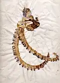 "Down and Doubt", 2003