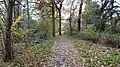 Downham Woodland Walk