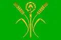 Flag of Dušníky