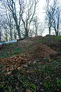 The excavations at the castle site in 2007