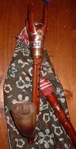 Hungarian duda