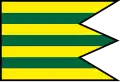Flag of Dulovo