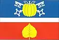 Flag of Dunice