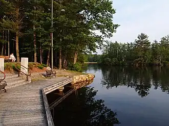 Pond