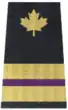 Engineer, purple