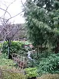 An Eagle Creek tributary north of Birkdale Pl.