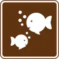 IT1-1 Aquarium