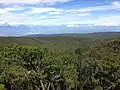 Typical habitat of E. leoncei in Sierra de Bahoruco.