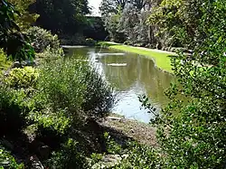 Moat