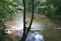 Photograph of river