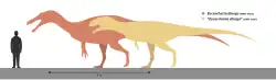 Silhouette of a man standing next to two theropod dinosaur silhouettes