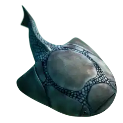 Psammolepis alata