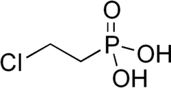 Skeletal formula