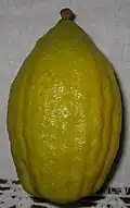 Diamante citron with pitam