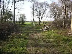 Eversden Wood