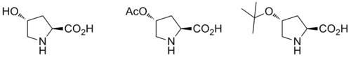 Examples of proline catalysts