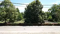 Ornamental garden