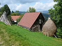Local farm
