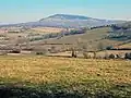 Farmland near Caggle Street