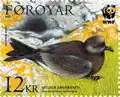 FO 524: Leach's petrel (Oceanodroma leucorrhoa)