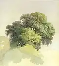 The Crowns of the Trees. 1867