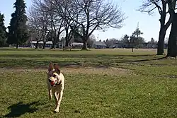Fernhill Park