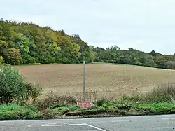 Sidley Wood