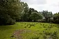 Moorgreen Meadows