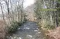 First Fork Larrys Creek