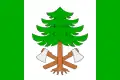 Flag of Říčky v Orlických horách