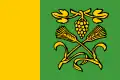 Flag of A Teixeira