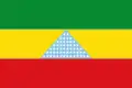 Flag of Algeciras, Huila