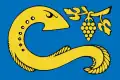 Flag of Concello de Arbo