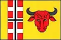 Flag of Býčkovice