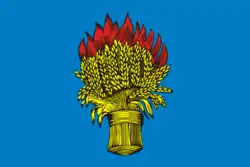 Flag of Belyovsky District