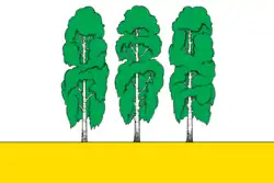 Flag of Beryozovo