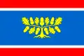 Flag of Bílá Lhota