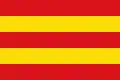 Flag of Braine-le-Château