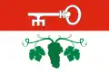 Flag of Brno-Bohunice